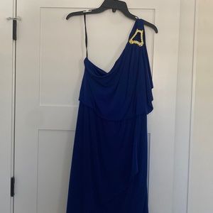 Off the shoulder blue dress with gold appliqué on the one shoulder I